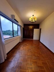 The Cairnhill (D9), Condominium #616607911